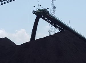 Coal being transferred to a storage heap.
