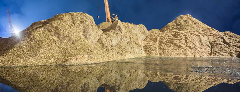 Organic biomass processing